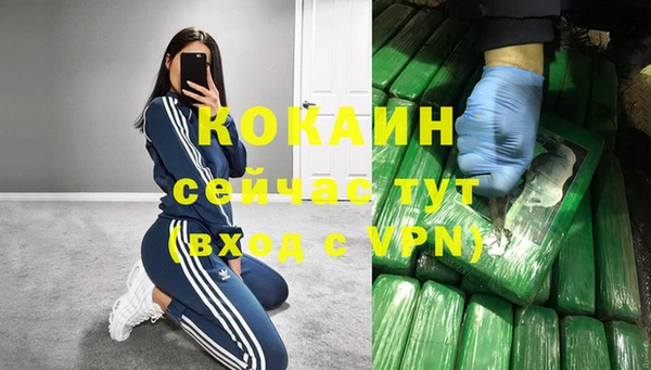 мдпв Белокуриха